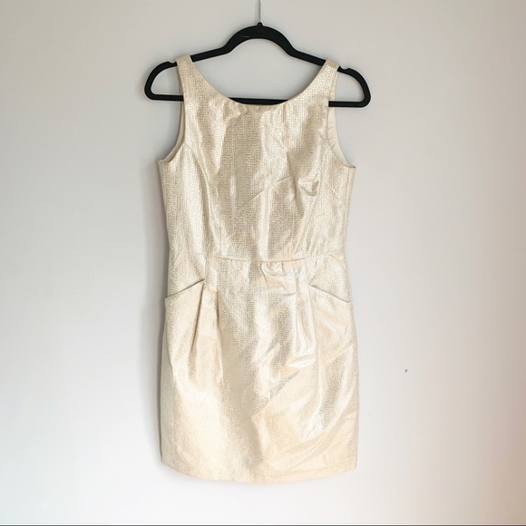 Dalia Dresses & Skirts - Dalia Cream And Silver Sheath Dress Size 2